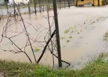 Situata nga përmbytjet, MM: S’ka rrezik për zonat e banuara