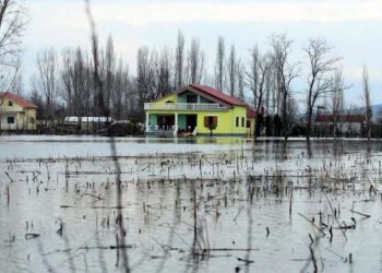 2920 ha tokë të përmbytura në Shkodër, mbi 100 banesa “nën” ujë
