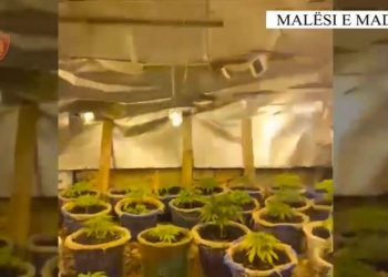 Zbulohet ‘shtëpia e barit’, e pëson pronarja e 4 punonjës të OSHEE