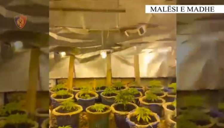 Zbulohet ‘shtëpia e barit’, e pëson pronarja e 4 punonjës të OSHEE