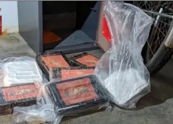 Drogë dhe tentativë vrasje, arrestohen 6 shqiptarë në Itali (Emrat)