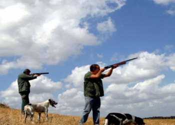 Rihapet pas 20 vjetësh dosja e vrasjes së shqiptarit në Itali