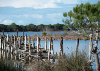 Projektet në zonat e mbrojtura kërcënojnë pasuritë natyrore