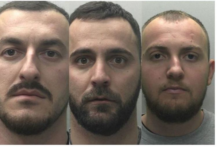 EMRAT/ Donin të arratiseshin, 3 shqiptarë kapen në fermë bari