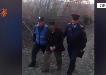VIDEO/ MOMENTI i arrestimit të 75-vjeçarit në Gramsh