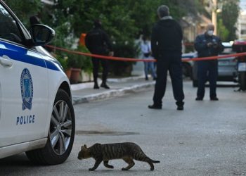 Horror në Greqi, gjendet trupi i dekompozuar i një burri