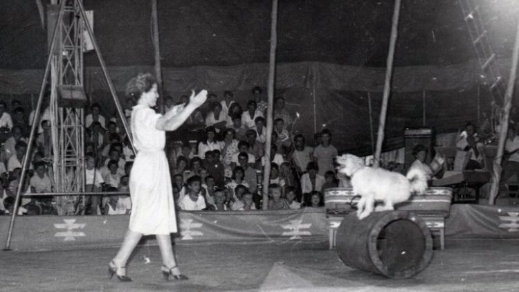 EMRI/ Ndërron jetë artistja e cirkut shqiptar