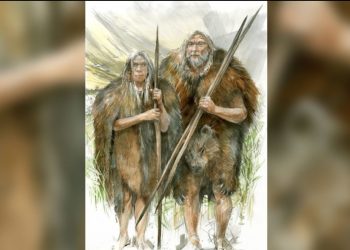 Zbulohet se kur nisën njerëzit që të vishnin rroba