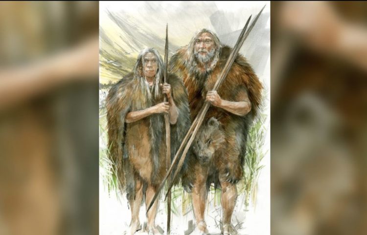 Zbulohet se kur nisën njerëzit që të vishnin rroba