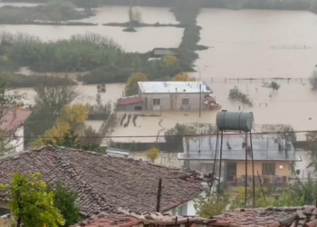 Fshatra pa drita, si paraqitet situata e motit në Shkodër