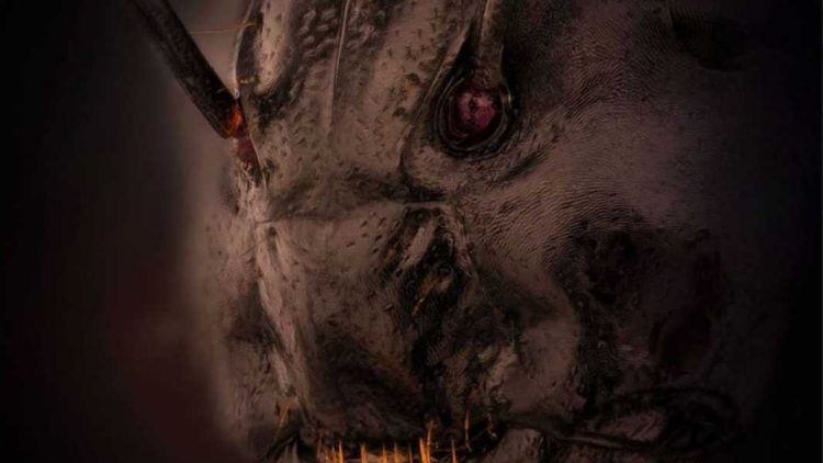 Si duket një milingonë nga afër