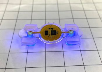 Shpiket roboti biologjik që funksionon me qelizat e miut