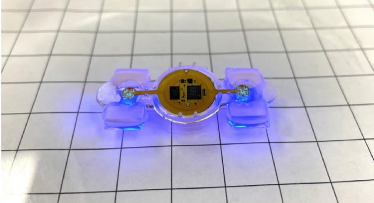 Shpiket roboti biologjik që funksionon me qelizat e miut