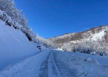 Bora ‘pushton’ vendin, por çfarë thotë Peleshi