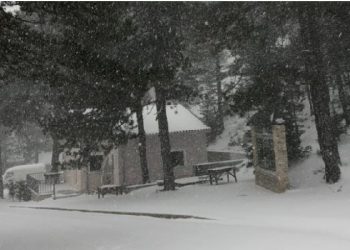 Kruja mbulohet nga bora, disa fshatra mbesin pa energji elektrike