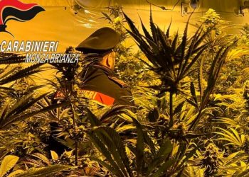 Me 1.4 mln euro, arrestohen dy shqiptarët në Itali