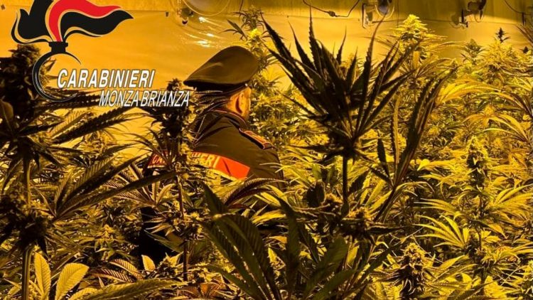 Me 1.4 mln euro, arrestohen dy shqiptarët në Itali