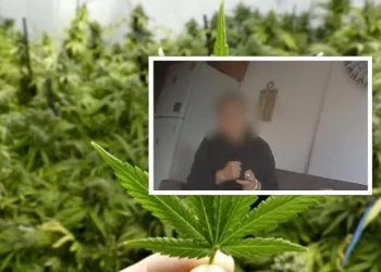 “Dy kokrra sheqer haji…”, fallxhoret japin bekimin për drogën