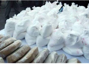 Hetimet, si ranë në prangat e karabinierëve 4 vëllezërit shqiptarë