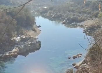 Ishte mbuluar me batanije, vendi ku u gjet foshnja në Shkodër