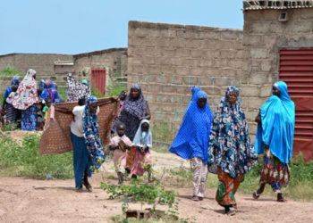 Mblidhnin fruta për t’u ushqyer, 50 gra merren peng