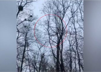 VIDEO/ Dalin pamjet, si u përplas helikopteri ukrainas ku ndodhej..