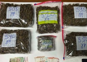 Kapet me hashash, arrestohet shqiptari në Greqi