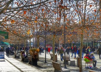 Rekord në Europë, temperaturat e janarit në nivelin më të lartë