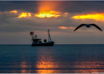Me 62 mijë litra naftë kontrabandë,shtyhet seanca për të dyshuarit