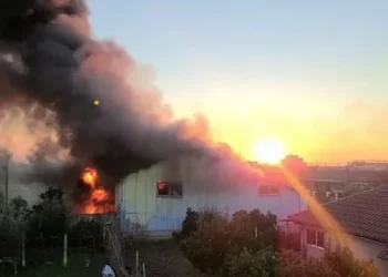 Marrin flakë disa makina në Lushnjë