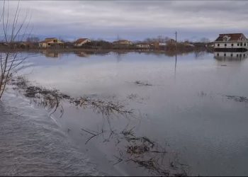 Përmbytjet në Shkodër, në Obot uji ka ‘hyrë’ në 15 banesa
