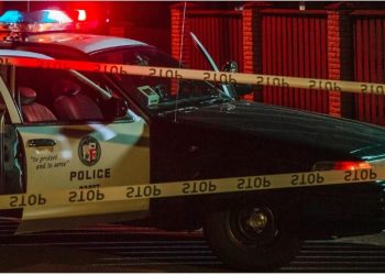 Tmerr në Amerikë, burri vret familjarët e më pas veten