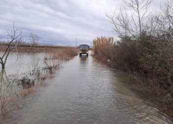 Shkodra ende e përmbytur, 110 banesa në ujë