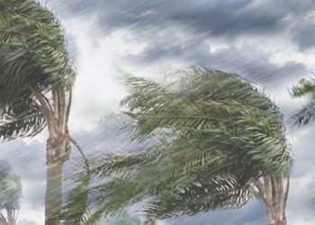 Stuhi e fortë në Korçë, çatia e magazinës bie mbi 5 makina