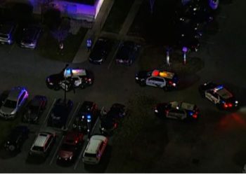 Sulm me armë në Florida, plagosen 10 persona