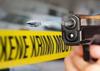 E tmerrshme, burri vret gruan dhe vëllain