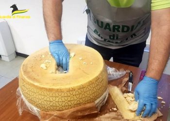 Banda shqiptare “e djathit” bie në pranga