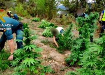 Shkatërrohet banda e shqiptarëve në Spanjë (Detajet)