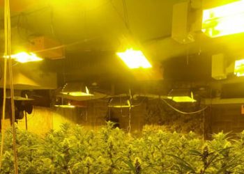 Mungesa e energjisë tradhtoi trafikantët shqiptarë