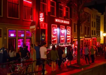 Amsterdami shtrëngon masat për pijen e kanabisit