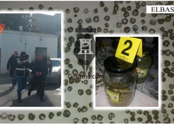 Arrestohen nënë e bir në Elbasan, shisnin kanabis