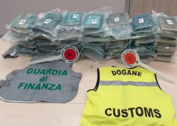 Fshehur në banane, shqiptari kapet me 60 kg kokainë në Itali