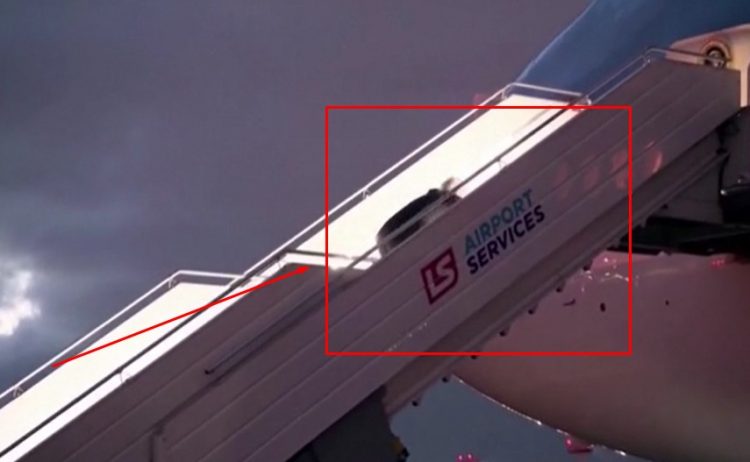 Biden pengohet në shkallët e avionit (VIDEO)