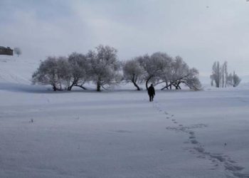 Pas tërmetit, temperatura rekord në Turqi, -35,5 gradë celsius