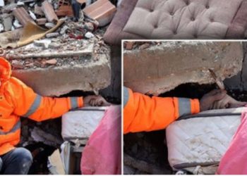 FOTO PREKESË, babai shtrëngon dorën e vajzës së vdekur