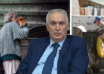 Pse nuk përcaktohet minimumi jetik?