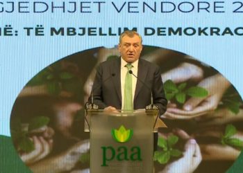 Duka në Konventën Kombëtare: S’jemi ingranazh i asnjë partie