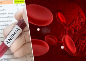 ​Vuani nga anemia? Ushqimet që duhet të konsumoni