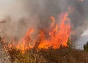Video/ Zjarr në Selenicë, flakët përpijnë kodrat e fshatit Roms
