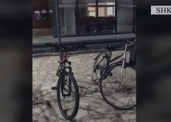VIDEO/53 vjedhje për 6 muaj, ndalohen 3 adoleshentë në Shkodër